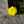 youspring