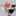 pecoの台所 pecoの台所