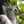 ゆっこ猫