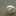 cocomam723 cocomam723