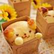 あいらぶパン☆