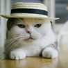 balle