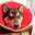 愛犬同好会