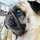PUGｓ