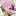 さらりんん