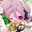 さらりんん