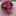 エレナ0601 エレナ0601