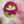 ぷちペコリさん