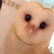 ぽよぷ