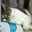 モフモフねこ