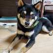 ちぃーchan☆