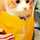ティッキさん* ティッキさん*