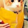 ティッキさん* ティッキさん*