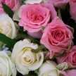 Love To