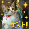 クックCMEU97☆