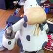 クックVGCHEP☆