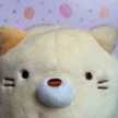 藍猫にゃん。