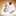 花満開29 花満開29