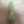 とろりーん