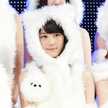 shamo＊