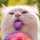 erikitty32 erikitty32