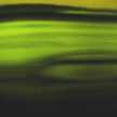 maony