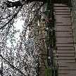 yuichannnn