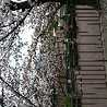 yuichannnn