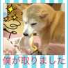 ★豆太★