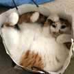 うにぃぃぃ