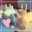 クックB4GD9M☆
