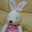 のんうさお
