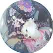 shiki_0510