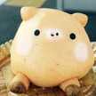 ぶたごろう