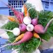 vegecolors