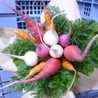 vegecolors