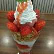 ハングリーマーヤ
