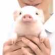くとちゃん