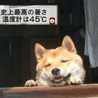 アンポンタン☆