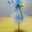 dandp