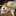 ふらっふぃ~ ふらっふぃ~