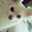 ヒナタくん・∀・