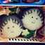 Saka_Shin