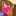 ♡にゃんにゃん♡ ♡にゃんにゃん♡
