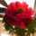 sachi_ktn sachi_ktn