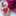 Singer_クララ Singer_クララ