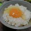 食いしん坊ichi