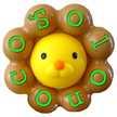 solonoco