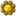 solonoco