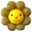 solonoco